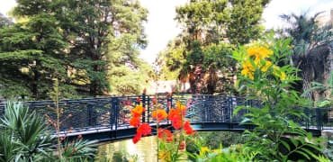 Denver Botanic Gardens