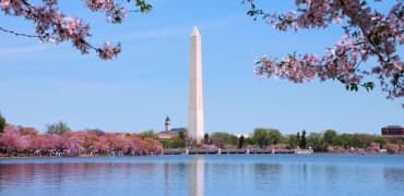 The Washington Monument