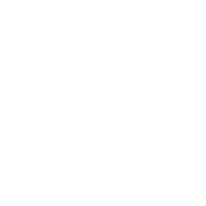 Professionalism and Trust